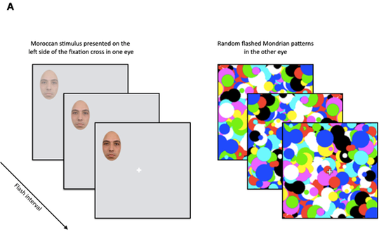 Stereotypes & Face Perception
